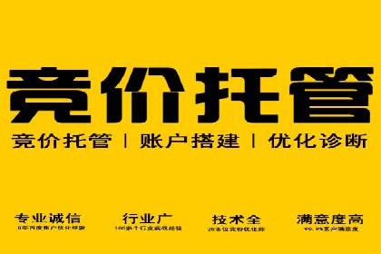 SEM服务公司助力企业市场份额提升案例